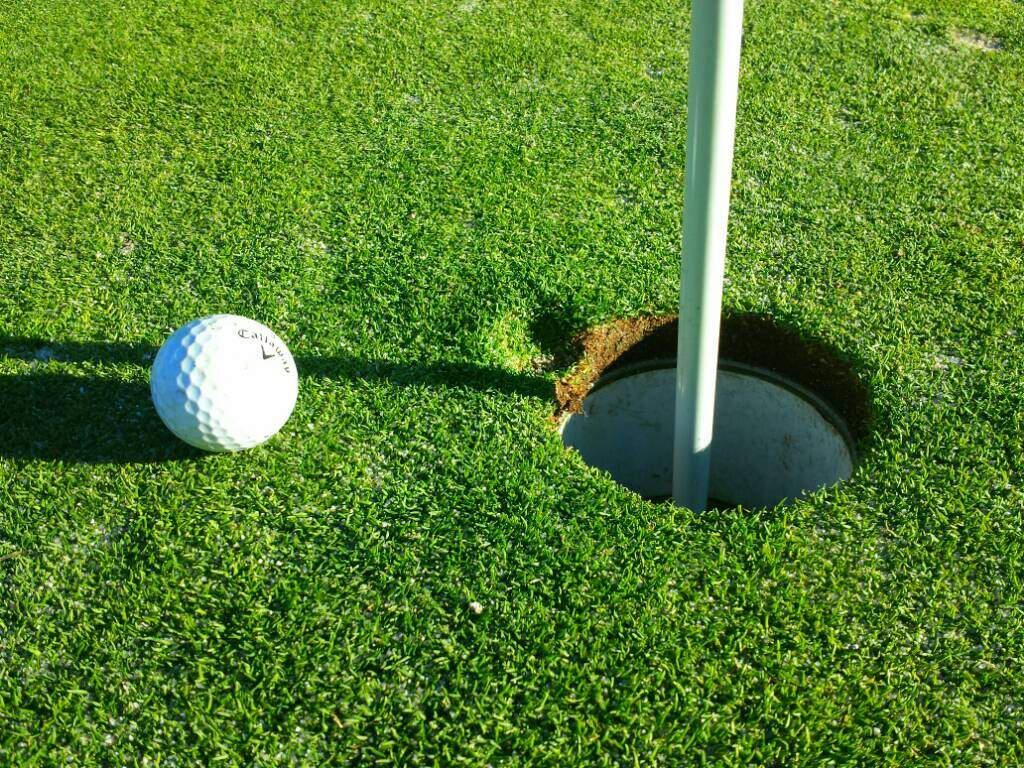 Two Inches Shy... Almost an Ace!