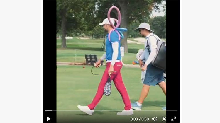 blank