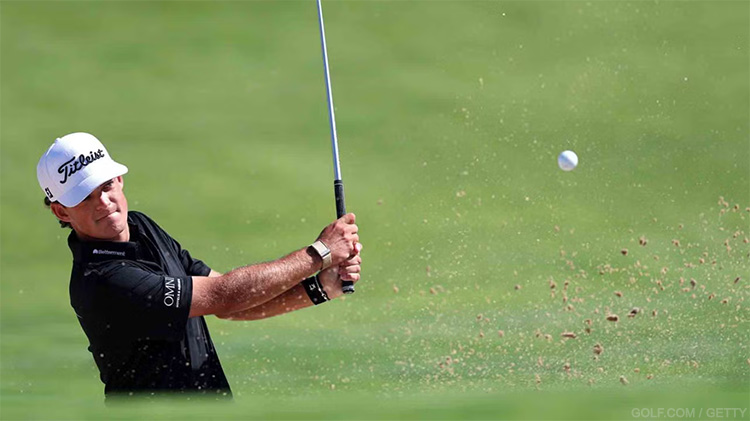 blank